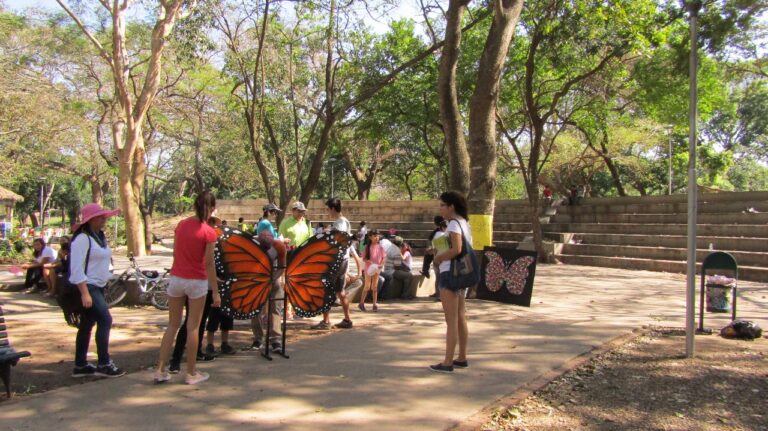 Taller sobre fauna urbana