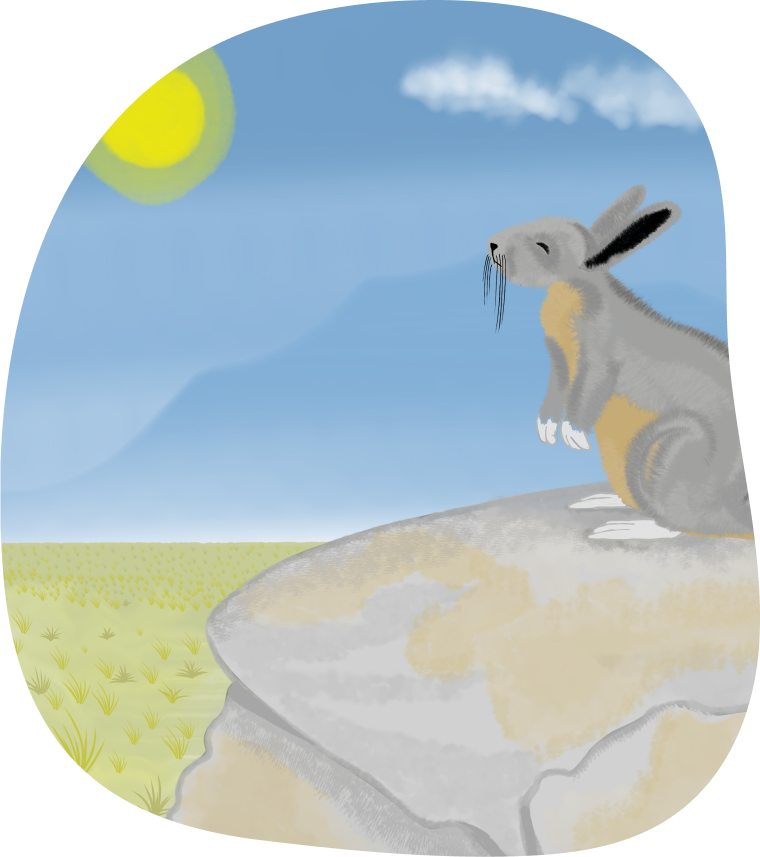 sinopsis image2